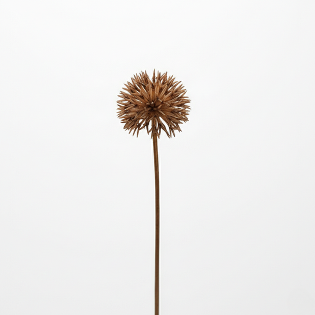 Fleur Artificielle Marron Avec Pompons Rigides, fleur artificielle marron contemporaine
