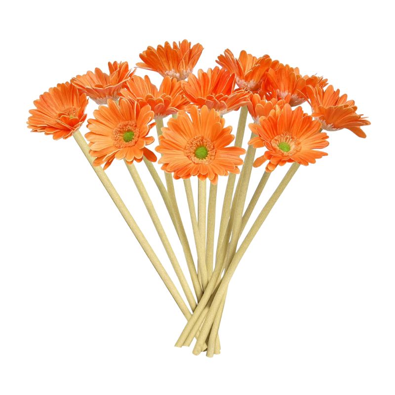 Fleur Artificielle Orange Avec Gerbera Isolé, fleur artificielle orange éclatante