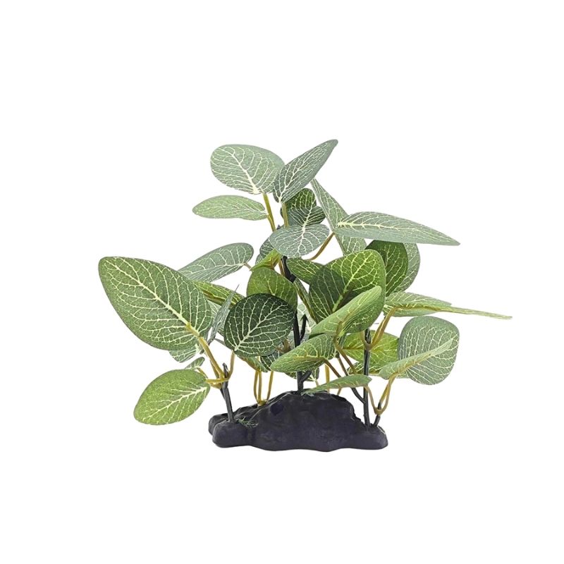Plante Pour Terrarium Avec Feuillage Réaliste, Plante Pour Terrarium