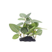 Plante Pour Terrarium Avec Feuillage Réaliste, Plante Pour Terrarium