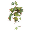 Plante Pour Terrarium En Liane Décorative, Plante Pour Terrarium