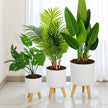 Pot de Fleurs Rond sur Pied pour Plantes