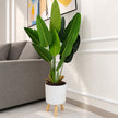 Pot de Fleurs Rond sur Pied pour Plantes