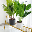 Pot de Fleurs Rond sur Pied pour Plantes