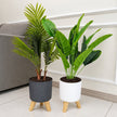 Pot de Fleurs Rond sur Pied pour Plantes