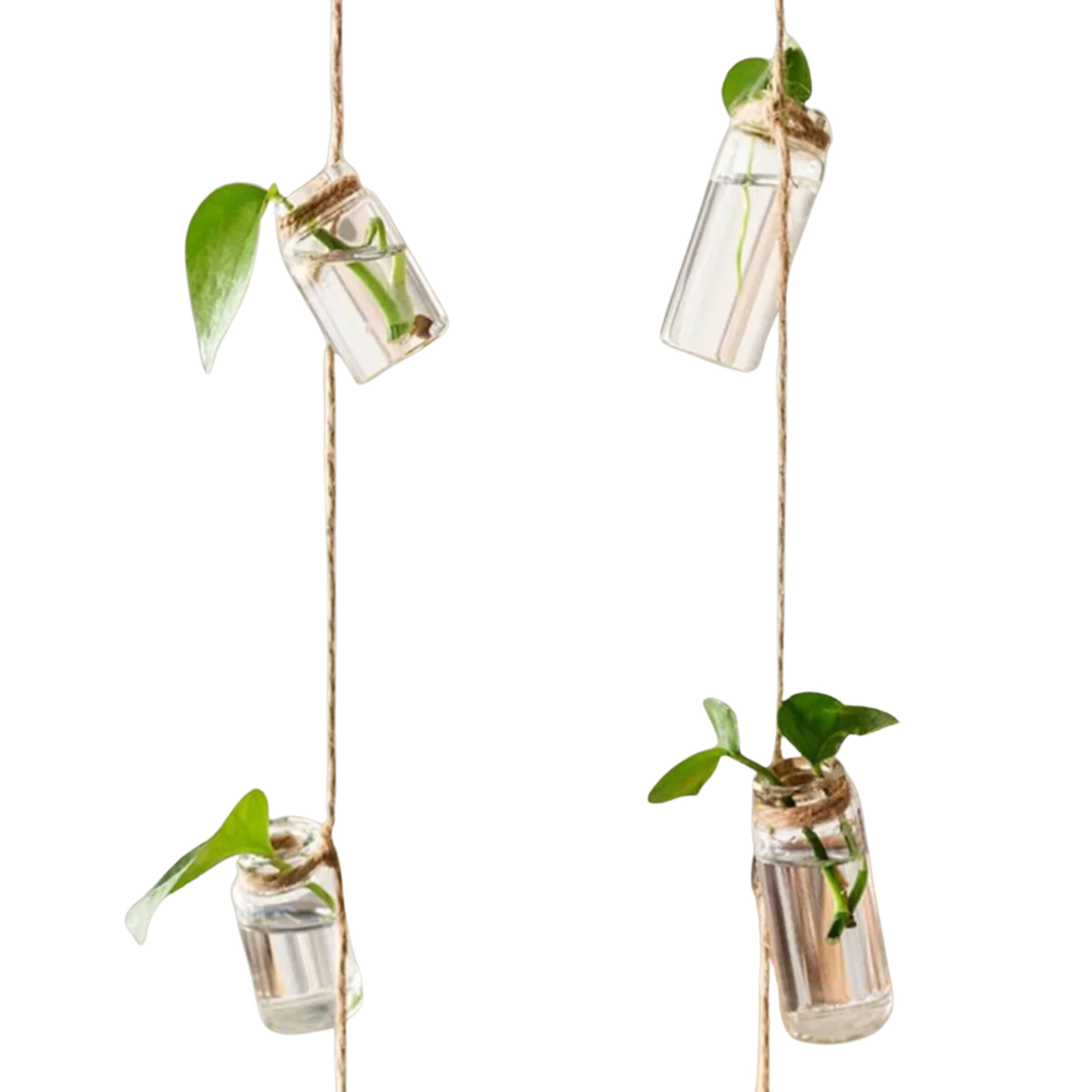 Vase à Corde avec 8 Mini Bouteilles en Verre