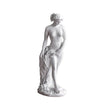 Sculpture Venus Classique Avec Drapé Élégant