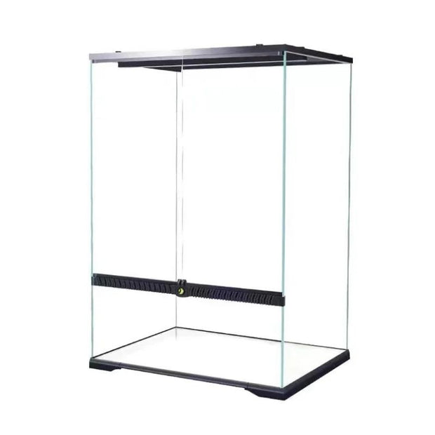 Terrarium En Verre Avec Structure Spacieuse, Terrarium En Verre