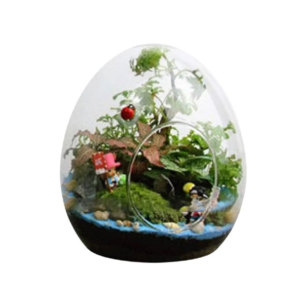 Terrarium en Verre Avec Design Oeuf, Terrarium en Verre