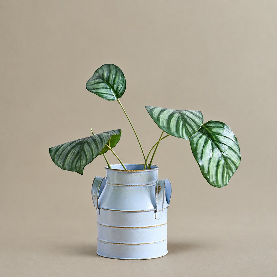 Vase de Style Ancien en Fer pour Fleurs