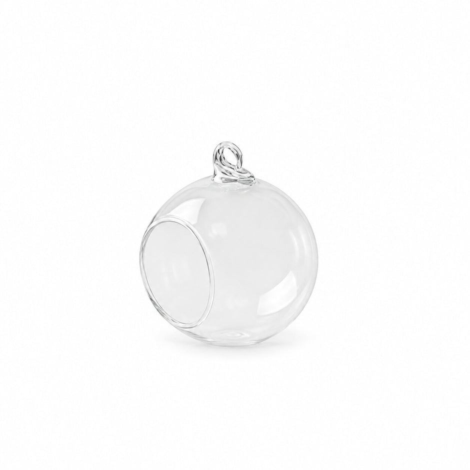 Vase Boule Transparent en Verre pour Plantes