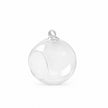 Vase Boule Transparent en Verre pour Plantes