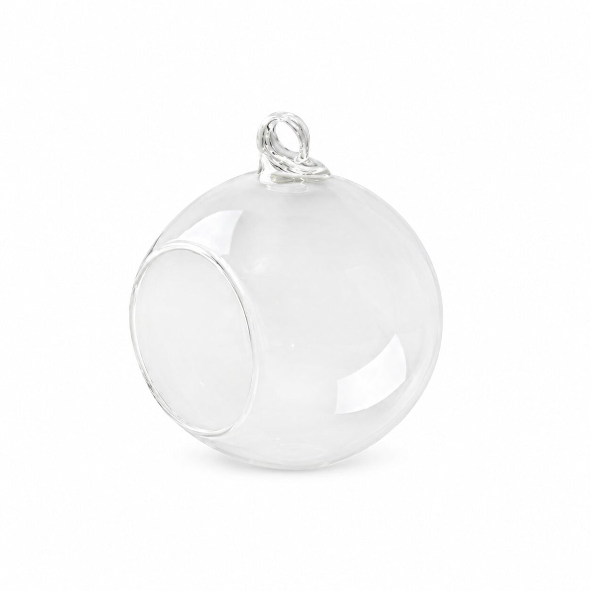 Vase Boule Transparent en Verre pour Plantes
