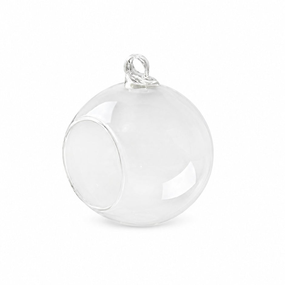 Vase Boule Transparent en Verre pour Plantes