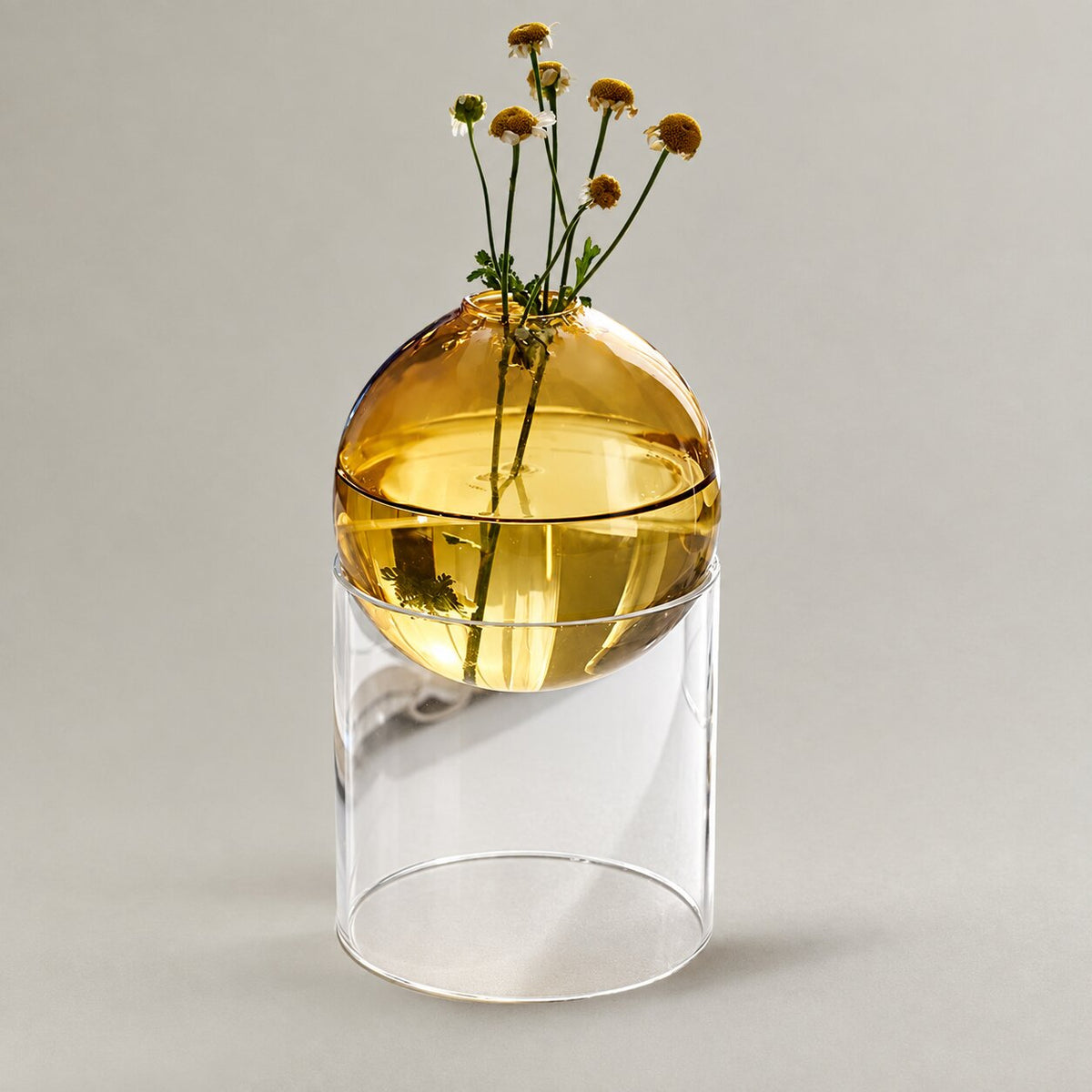 Vase Boule en Verre Borosilicate pour Fleurs