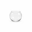 Vase Boule en Verre pour Micro Paysage et Hydroponie