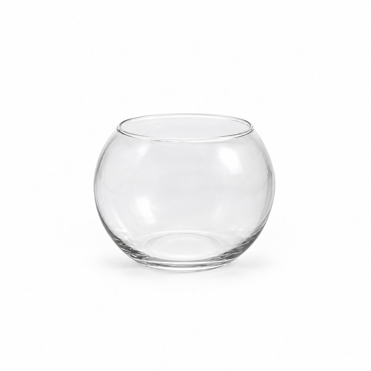 Vase Boule en Verre pour Micro Paysage et Hydroponie