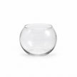 Vase Boule en Verre pour Micro Paysage et Hydroponie