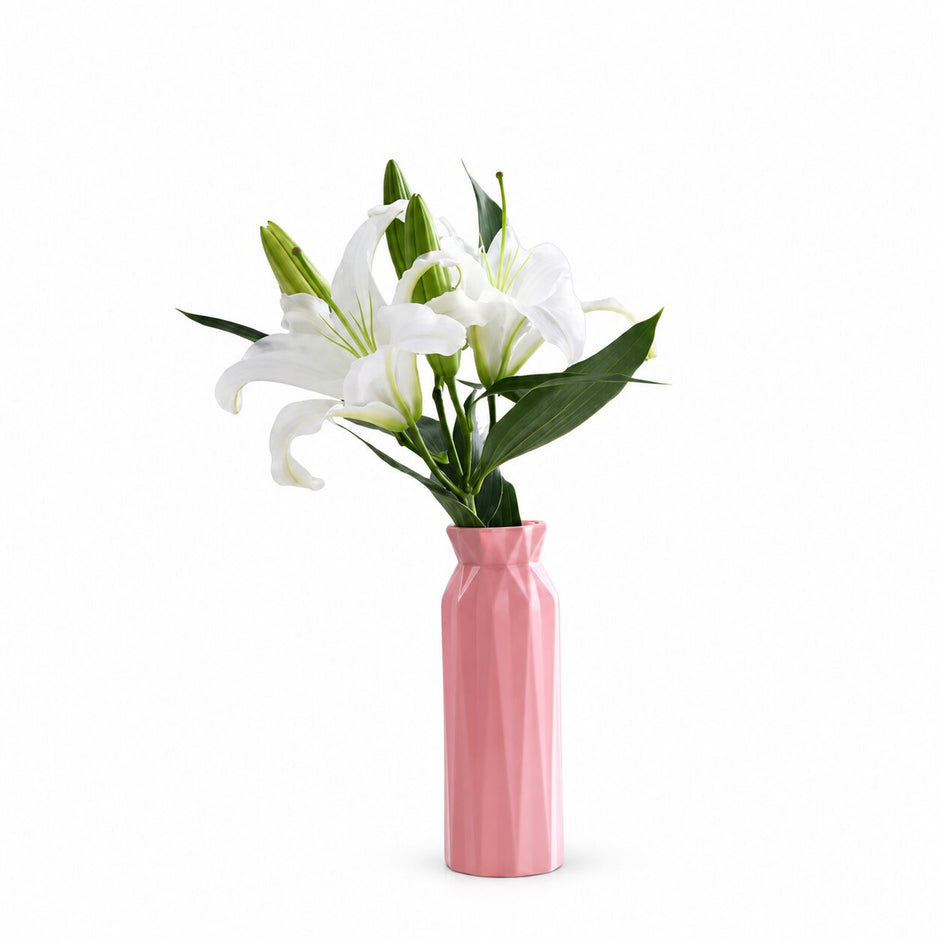 Vase Décoration Style Nordique pour Fleurs