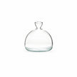 Vase Fleur en Verre Transparent pour Avocat