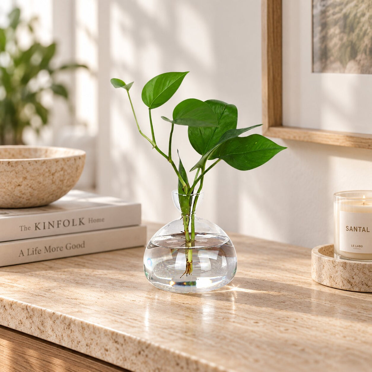 Vase Fleur en Verre Transparent pour Avocat
