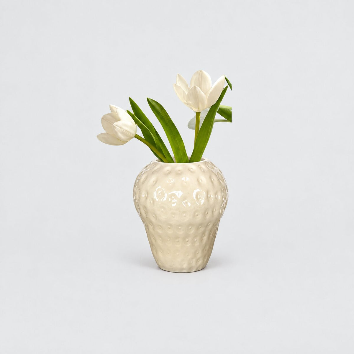 Vase Fraise en Verre Pour Fleurs et Plantes