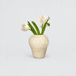 Vase Fraise en Verre Pour Fleurs et Plantes