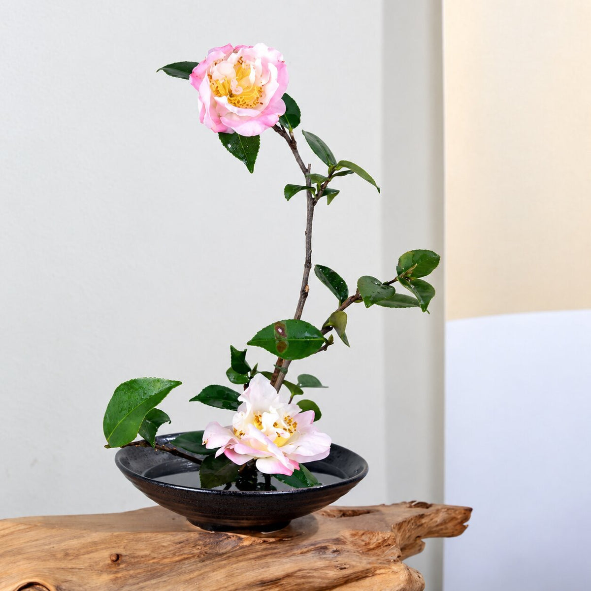 Vase Japonais à Grenouille Noir Style Ikebana