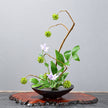 Vase Japonais à Grenouille Noir Style Ikebana