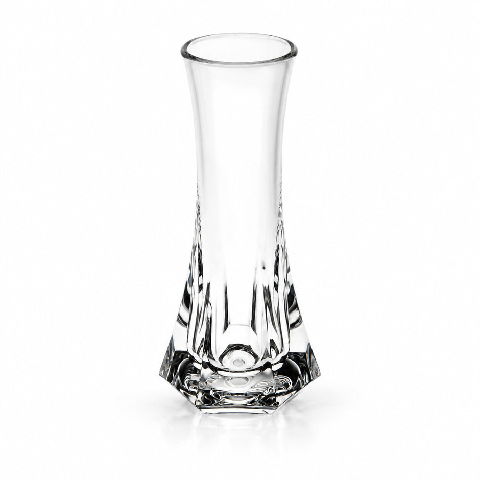 Vase Transparent Décoratif pour Fleurs