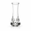 Vase Transparent Décoratif pour Fleurs