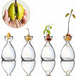 Vase Transparent pour Avocat en Lot de 2 Pièces