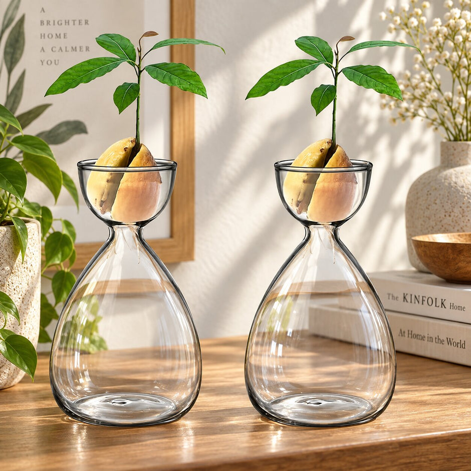 Vase Transparent pour Avocat en Lot de 2 Pièces