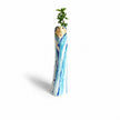 Vase Art Style Bohémien avec Motif Visage, vase élancé bleu et blanc avec plante verte