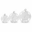 Vase Boule Transparent en Verre pour Plante, Vase Boule Transparent suspendu