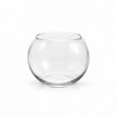 Vase Boule en Verre pour Micro Paysage et Hydroponie, vase rond transparent