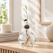 Vase Fleure en Verre Transparent pour Avocat, vase rond en verre clair