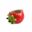 Vase Fraise Stylé pour Fleurs, vase rouge en forme de fraise avec feuilles vertes