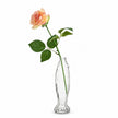 Vase Poisson en Verre Transparent pour Fleurs, vase en forme de poisson texturé
