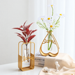 Vase en Fer et Verre pour Fleurs Hydroponiques