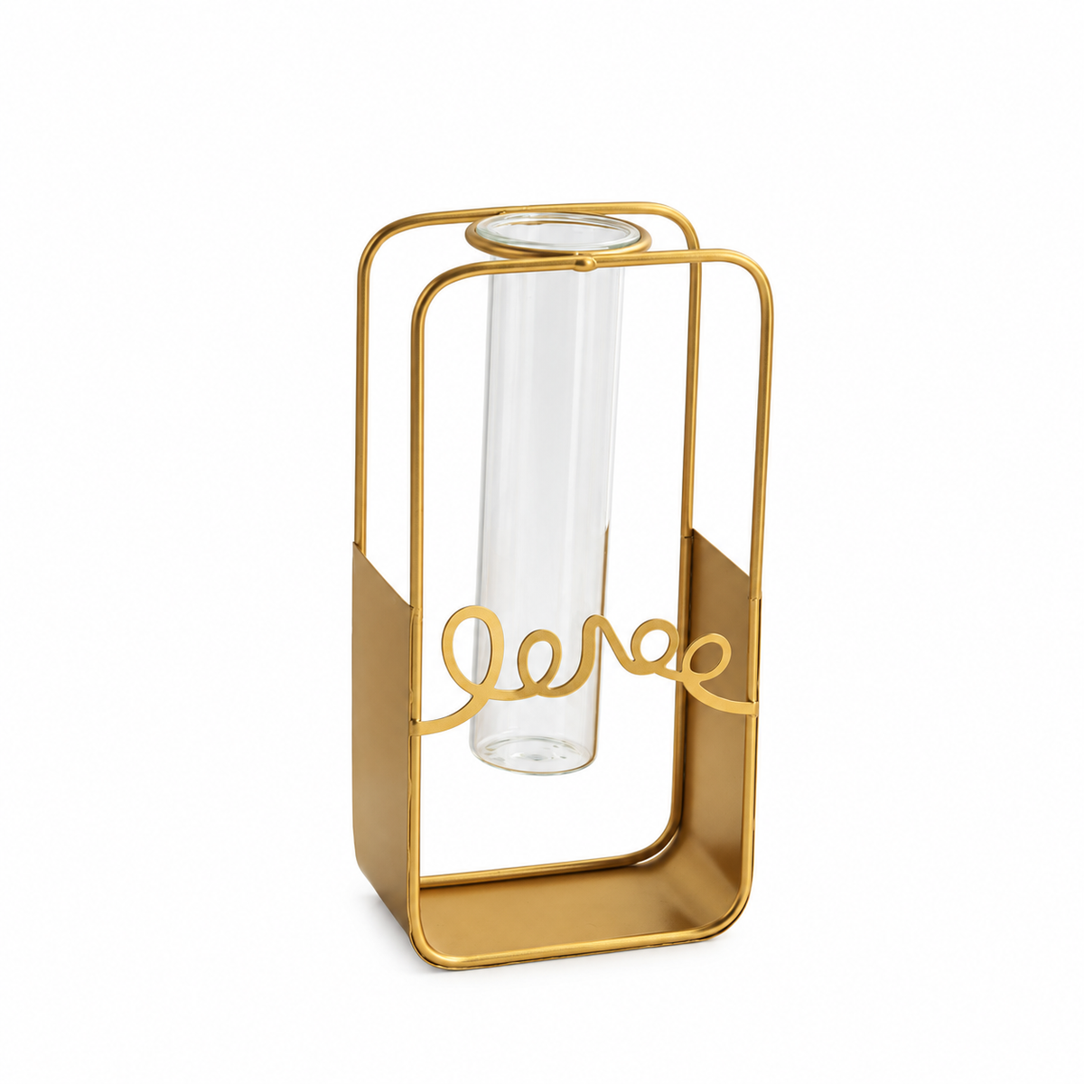 Vase en Fer et Verre pour Fleurs Hydroponiques