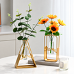 Vase en Fer et Verre pour Fleurs Hydroponiques