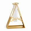 Vase en Fer et Verre pour Fleurs Hydroponiques