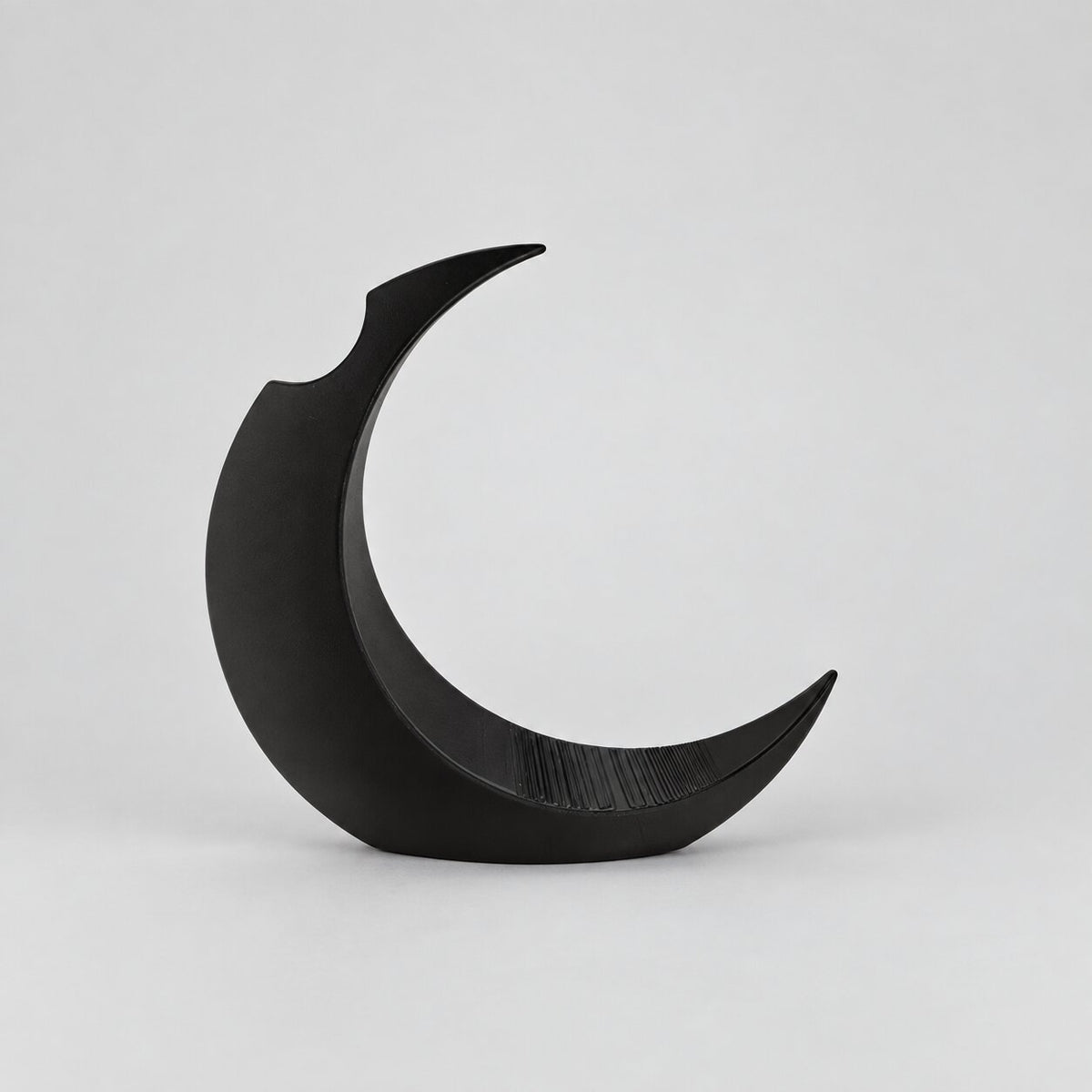 Vase en Forme de Lune pour Fleurs Sechées