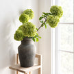Vase en Terre Cuite pour Fleurs