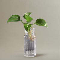 Vase Transparent en Verre de Style Nordique