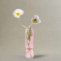 Vase Transparent en Verre Strié