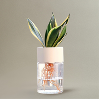 Vase Céramique Transparent pour Petites Fleurs