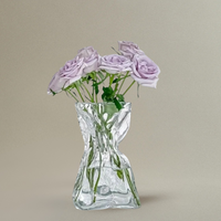 Vase en Cristal Transparent pour Plantes Hydroponiques