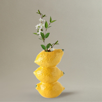 Vase Citron en Céramique pour Fleurs